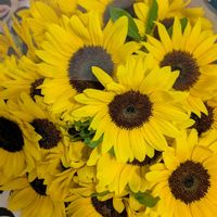 ひまわりの花束,花束の画像