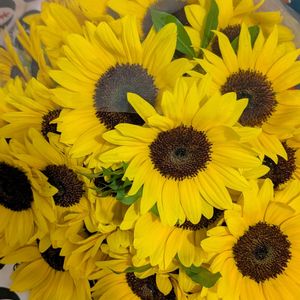 ひまわりの花束,花束の画像
