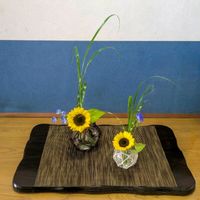 ススキ,ヒマワリ,ポトスライム,デルフィニウム,シマムラサキツユクサの画像