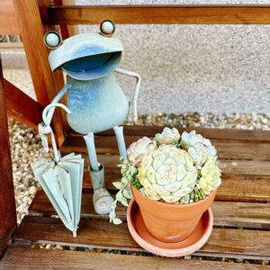 寄せ植え,カエルの画像
