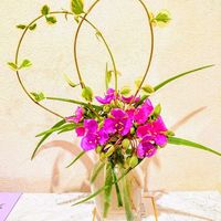 ツルニチニチソウ,ムラサキツユクサ,フラワーアレンジメント,ピンクの花,ツユクサ科の画像