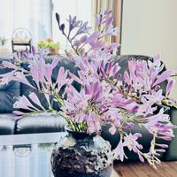 季節を楽しむ,花瓶に,部屋の画像