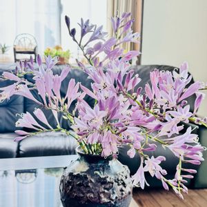 季節を楽しむ,花瓶に,部屋の画像