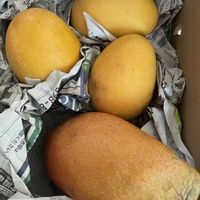 マンゴーの画像