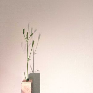 一輪挿し,花瓶,山野草,花のある暮らし,花のある生活の画像