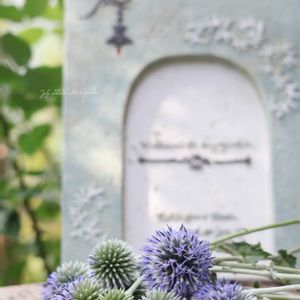 ルリタマアザミ,花のある暮らし,緑のある暮らし,宿根草♪,HTCの画像