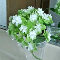 母の日プレゼント,私の癒し♡,おきにいり ♡,素敵な一日を✨,庭のあちこちで…の画像