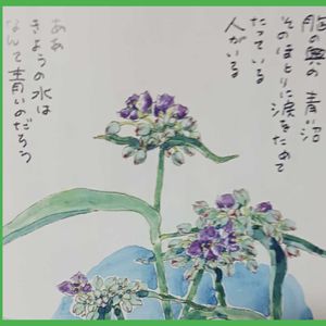 ムラサキツユクサ,お花のカレンダー,今日のお花,部屋の画像