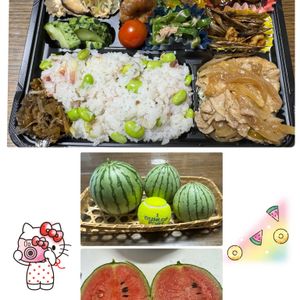 アグラオネマ,サンセベリア,小玉スイカ,みーちゃん,くるくるオリズルランの画像