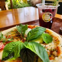ソテツ,ベゴニア,植物園,観葉植物,食虫植物の画像