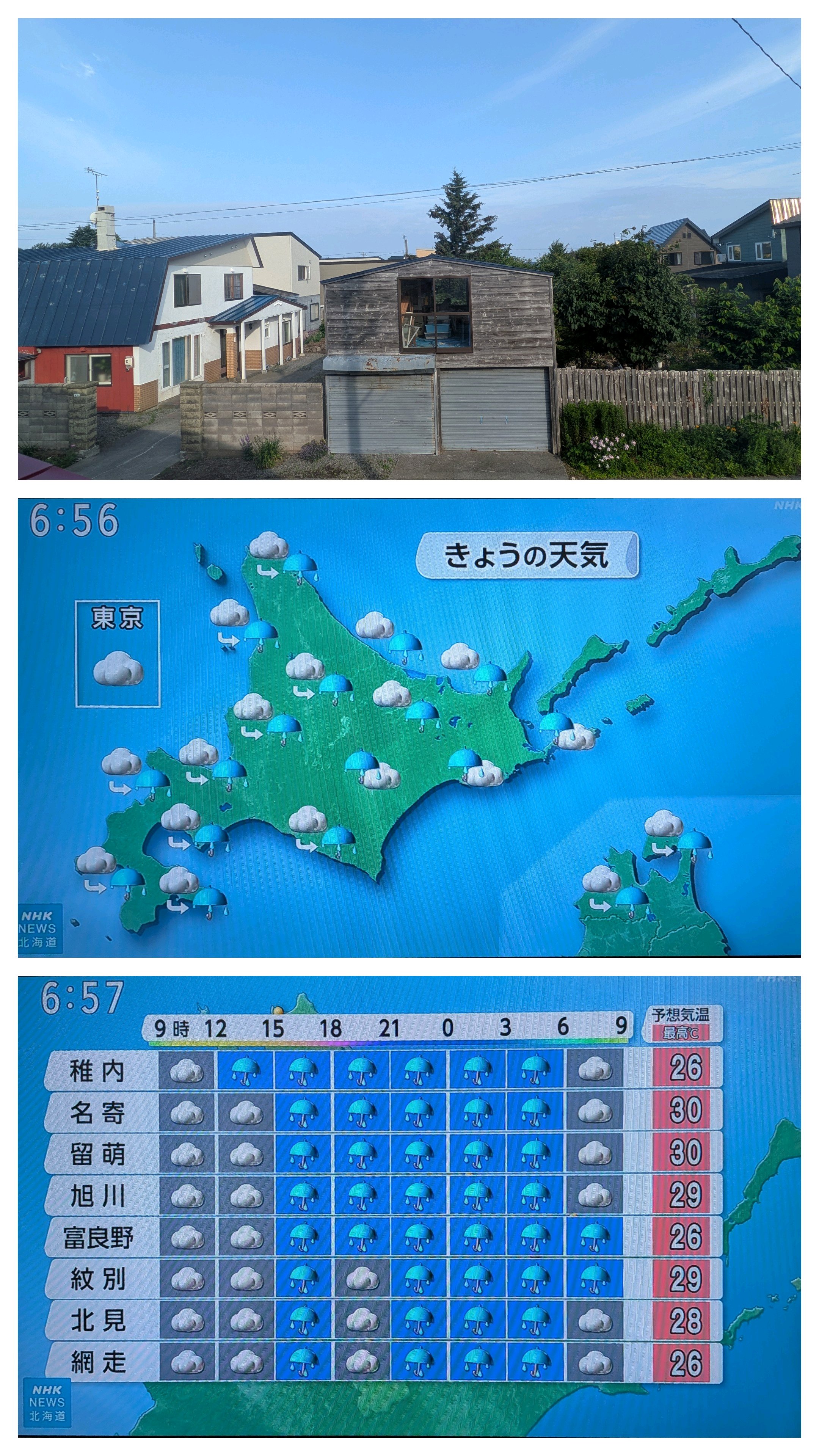 憧れの利尻・礼文③ 2026/7/18｜🍀GreenSnap（グリーンスナップ）