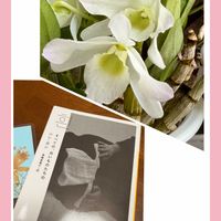 デンドロビウム,花のある暮らし,グリーンのある暮らし,お花は癒し,GREEN UP!の画像