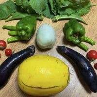 オクラ,ナス,ミニトマト,ピーマン,大葉の画像