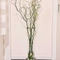 アセビ,ウンリュウヤナギ,切り花,生花,枝ものの画像
