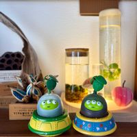 ハス,まりも,タビビトノキ,アヌビアス・ナナ プチ,ドライフラワーの画像
