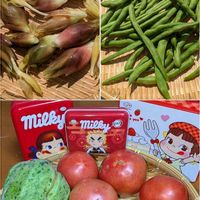 トマト,ドラセナ,ミニトマト,長茄子,サヤインゲンの画像