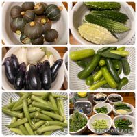 オクラ,ナス,落花生,モロヘイヤ,ミニカボチャの画像