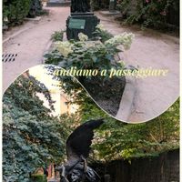 かしわばあじさい,白い花,庭園,みんな元気で！,花友さんに感謝♡の画像