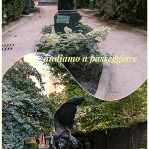かしわばあじさい,白い花,庭園,みんな元気で！,花友さんに感謝♡の画像