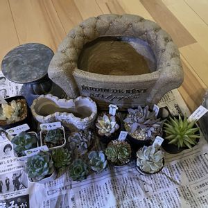 noah,プランター,植木鉢,園芸資材の画像