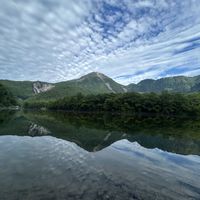 シャクナゲ,ホトトギス,長野県上高地「大正池」,山野草,GSのみなさんに感謝♡の画像
