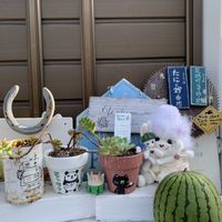 オーロラ,虹の玉,冬瓜,ハートチョイス,キュンキュン乙女倶楽部の画像