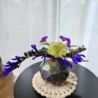 ジニア,メドーセージ,サルビア・ガラニチカ,ゲラニウム オリオン,庭の花の画像