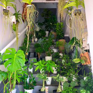 熊本,オシャレなお店,NO GREEN  NO LIFE,階段/廊下の画像