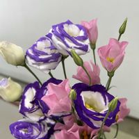 スターチス,ドラセナ,トルコギキョウ,Have a nice day ! ✨,被災地の復旧..復興..を願いますの画像