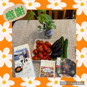 キュウリ,ナス,ヘデラ,ミニトマト,マドカズラの画像