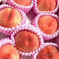 トマト,モモ,いね,ビルベリー,フィンガー ライムの画像