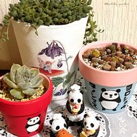 リトープス,リトープス,ピーチネックレス,ピーチネックレス,リトープスMIXの画像
