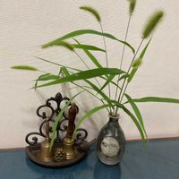 スーパーチュニア,エノコログサ,GS日和,小さな アレンジ,小さな庭の画像