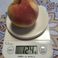 モモ,モモ,実生の桃,実生の桃,可愛いの画像