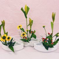 ヒペリカム,ヒペリカム,ヒペリカム,アワ,アワの画像