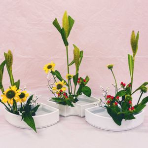 ヒペリカム,ヒペリカム,ヒペリカム,アワ,アワの画像