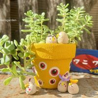 七宝樹,つぶつぶ屋さん　小梅,セダム属,幸せを呼ぶフクロウ祭り,今日もお疲れ様❤︎の画像