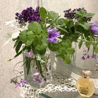 ストケシア,ヤナギラン,ヘリオトロープ,ブルーウィング,季節の花の画像
