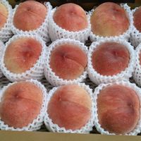 モモ,あかつき,木曜日は桃色の画像
