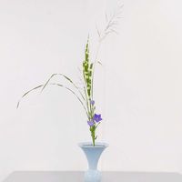 キキョウ,ススキ,矢筈ススキ,カゼクサ,切り花の画像