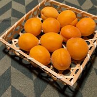 アンズ,ドライフルーツ,あんず,杏(あんず),和の趣の画像