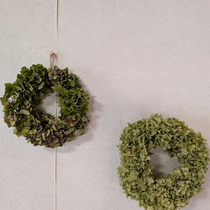 紫陽花,アナベル,ドライフラワー,リースの画像
