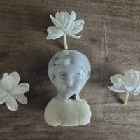 マツリカ,ジャスミン,アラビアン　ジャスミン,アラビアンジャスミン,ピカケの画像