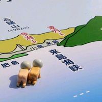 ツバキ,椿の実,ヒオウギ,大好き,かわいい♡の画像