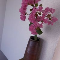サルスベリ,百日紅,一輪挿し,iPhone撮影,備前焼の画像
