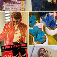 ホオズキ,ウチワサボテン(バニーカクタス),映画の日,1日は映画の日の画像