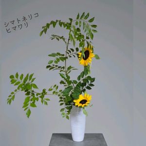 いけばなの画像