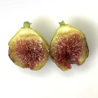 イチジク,いちじく,収穫,室内栽培,鉢栽培の画像