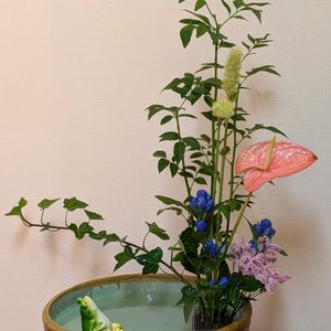 モミジアオイ,私の生け花,朝４時30分ウォーキング始めたよ,義姉から岡山白桃届く,蓮…カットサロンジュンの画像
