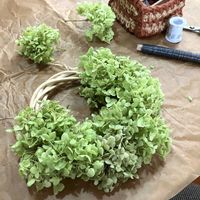 ドライフラワー,アナベルのリース,病気に負けない心,明日はきっと良い日になる,大切な日常の画像